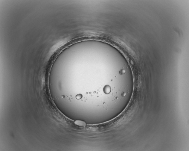 X0000111861261200907301124