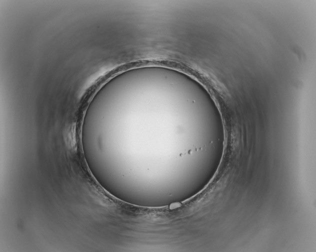 X0000111861262200907301124