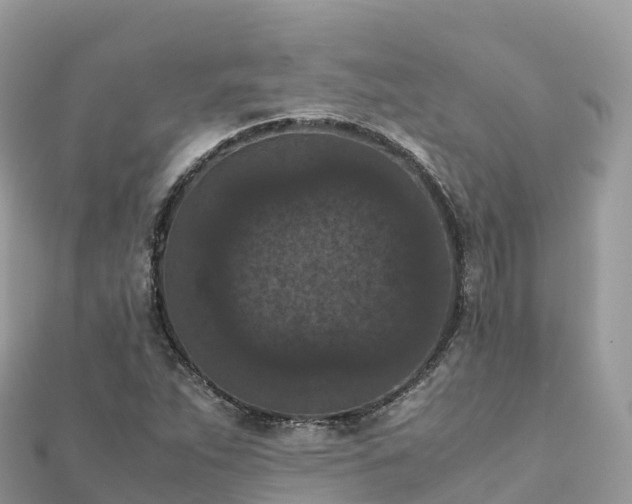 X0000111861263200907301124