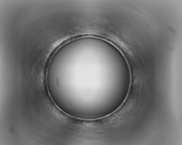 X0000111861264200907301124