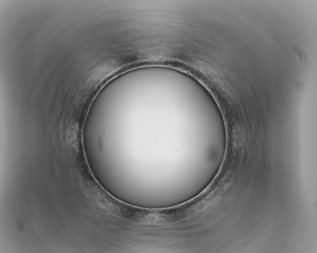 X0000111861265200907301124