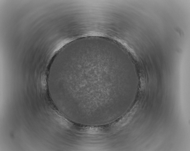 X0000111861266200907301124