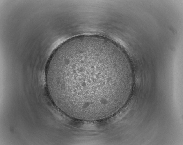 X0000111861267200907301124