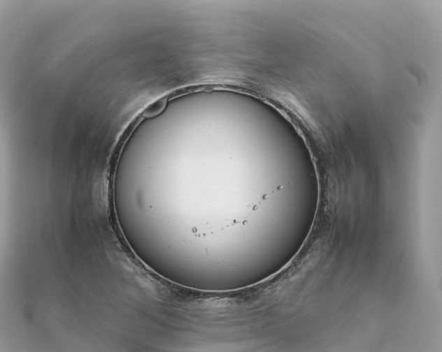 X0000111861268200907301124