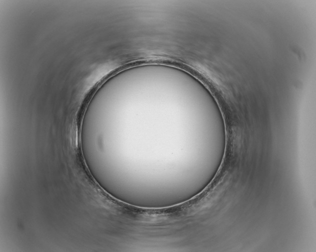 X0000111861269200907301124