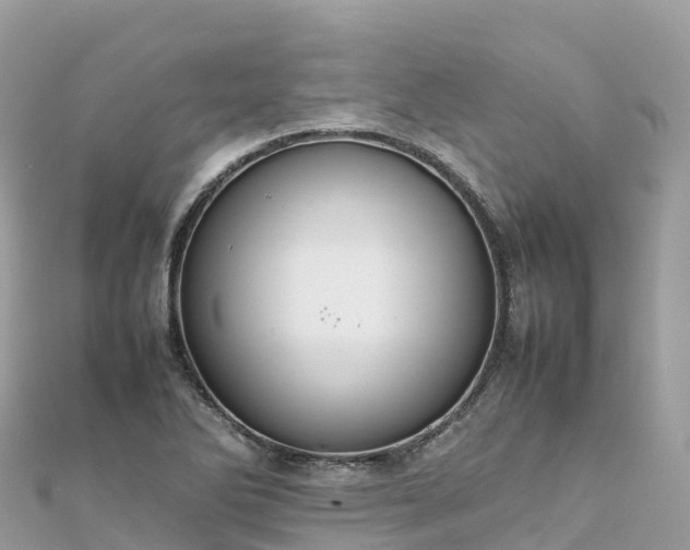 X0000111861270200907301124