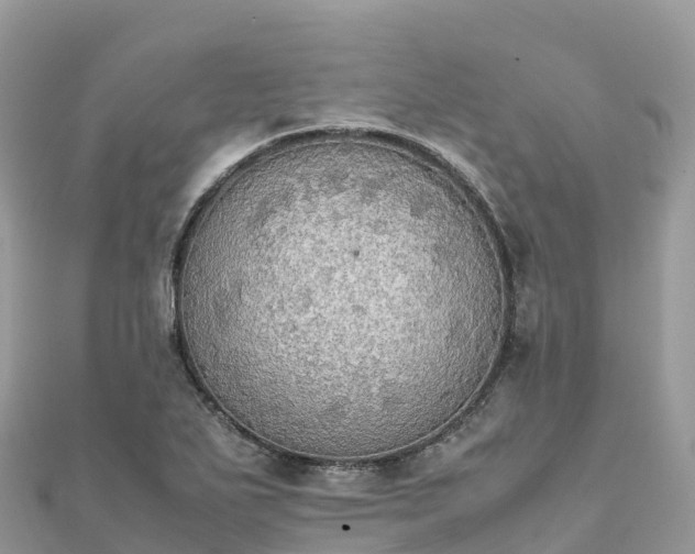 X0000111861271200907301124