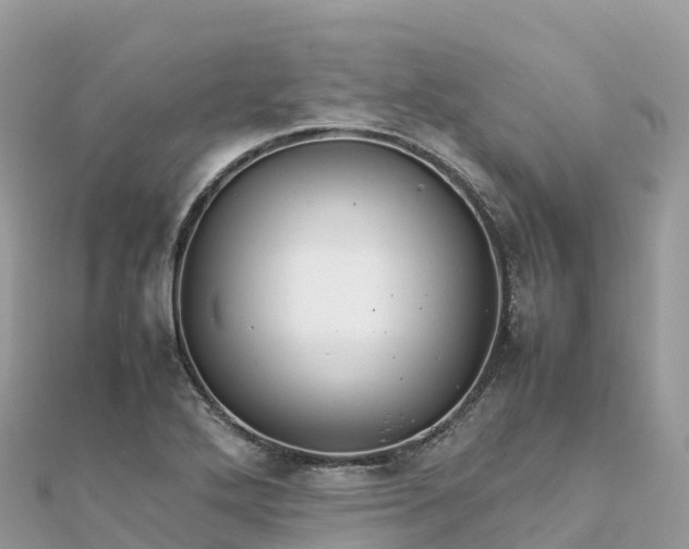 X0000111861272200907301124