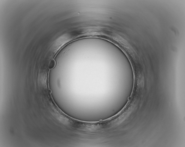 X0000111861273200907301124