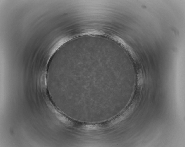 X0000111861274200907301124