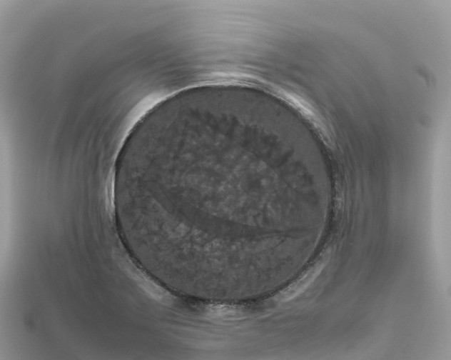 X0000111861275200907301124