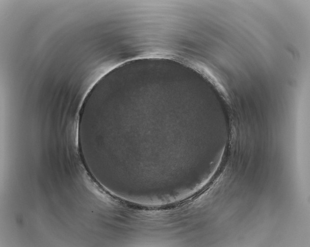 X0000111861276200907301124