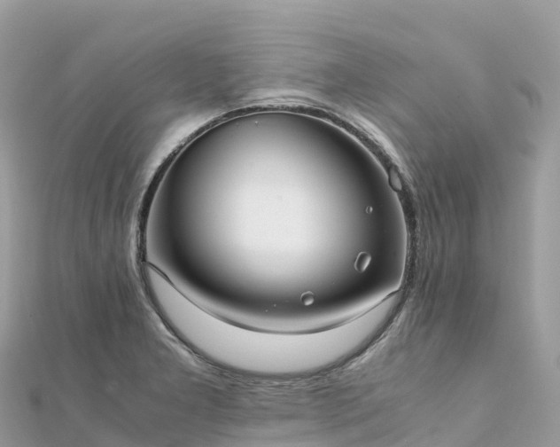 X0000111861277200907301124