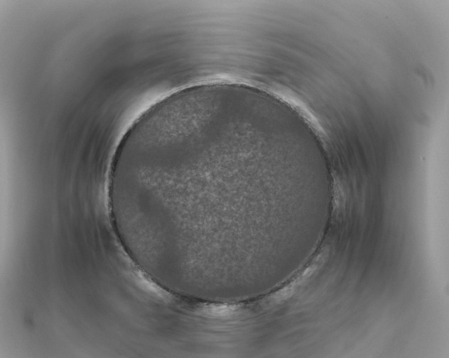 X0000111861278200907301124