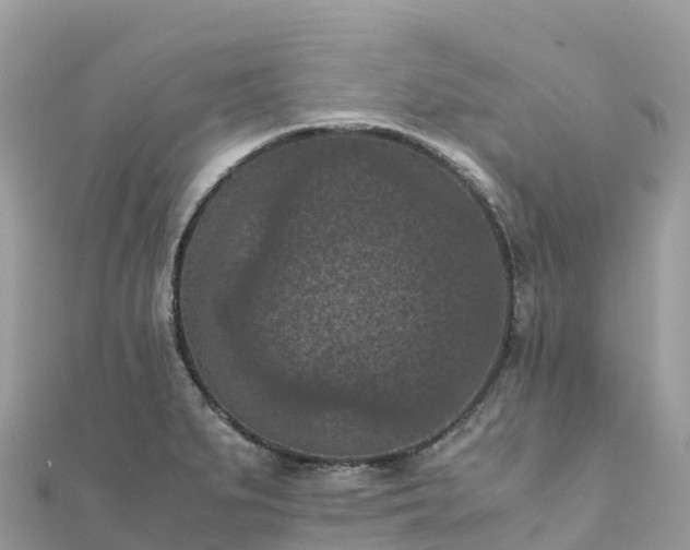 X0000111861279200907301124