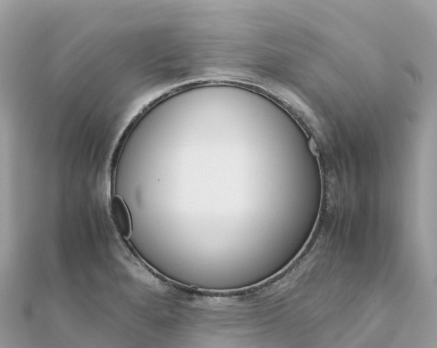 X0000111861280200907301124