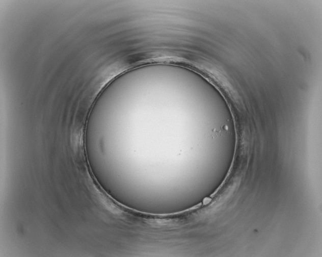 X0000111861281200907301124