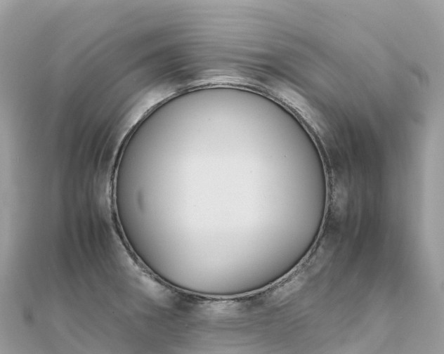 X0000111861282200907301124