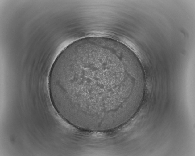 X0000111861283200907301124