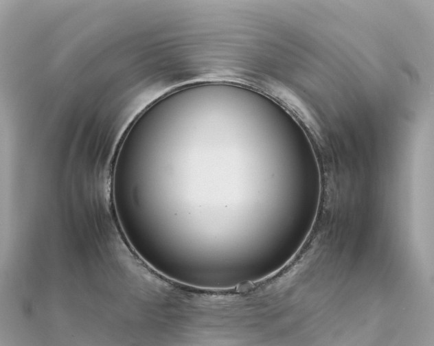 X0000111861284200907301124