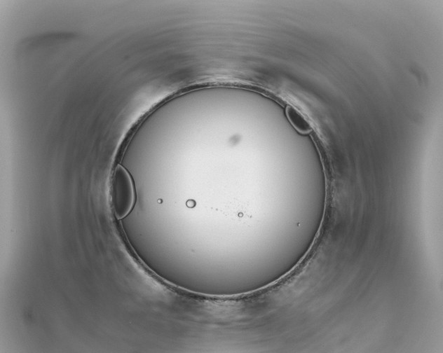 X0000111861285200907301124