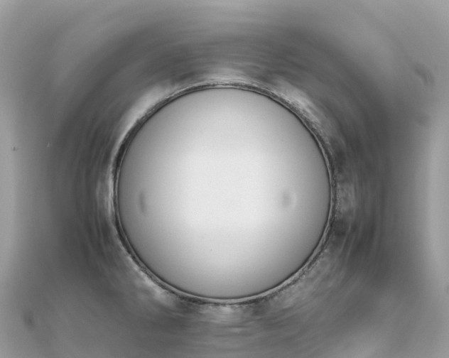 X0000111861286200907301124