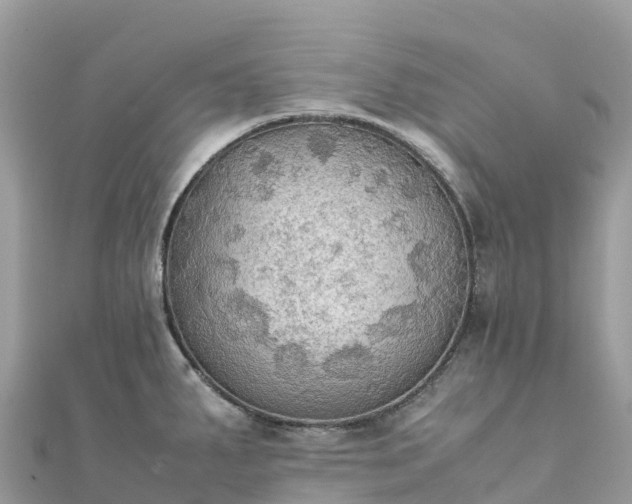 X0000111861287200907301124