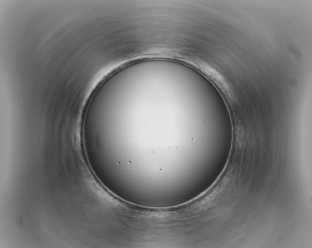 X0000111861288200907301124