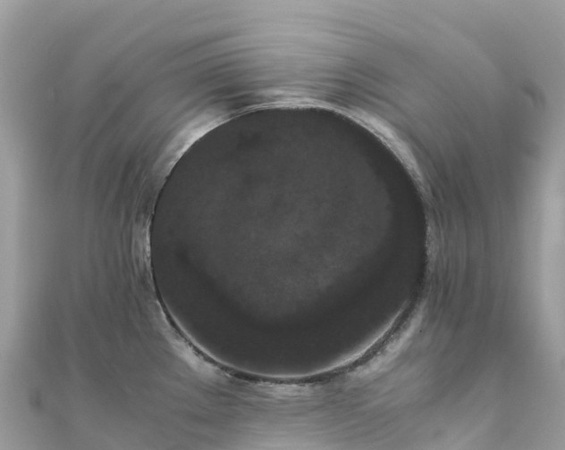 X0000111861289200907301123