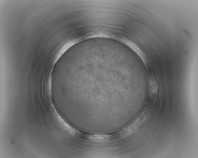 X0000111861290200907301123