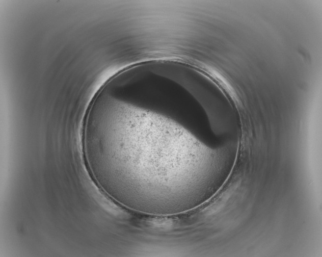 X0000111861291200907301123