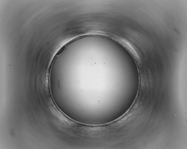 X0000111861292200907301123