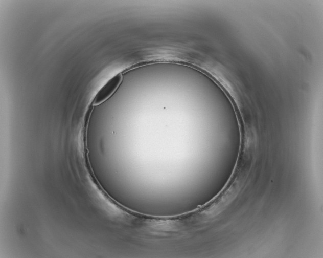 X0000111861293200907301123