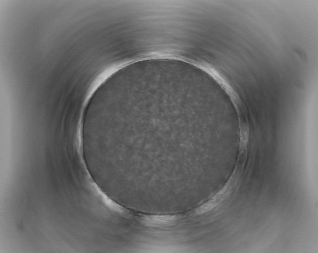 X0000111861294200907301123