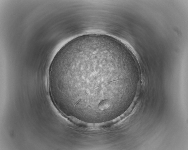 X0000111861295200907301123