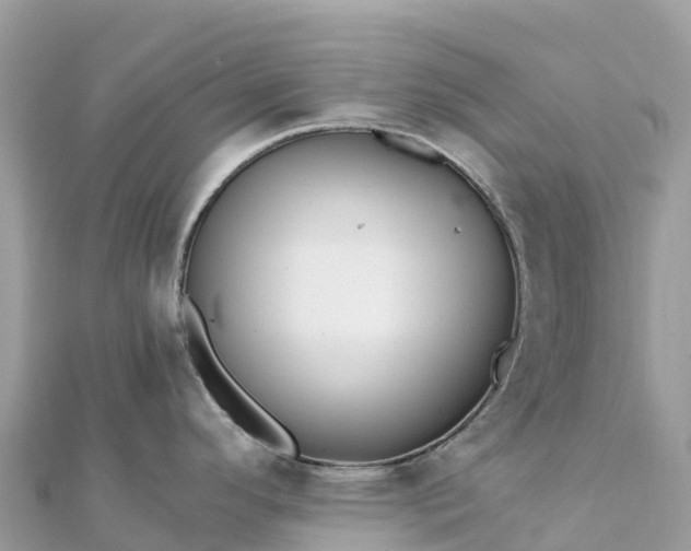 X0000111861296200907301123