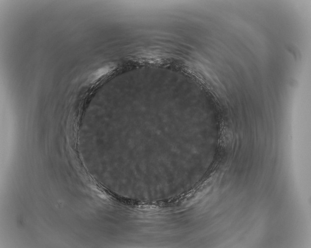 X0000111861297200907301123