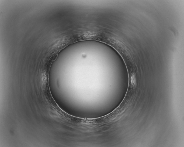 X0000111861299200907301123