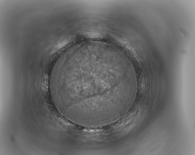 X0000111861301200907301123