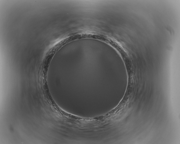 X0000111861303200907301123