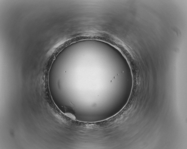 X0000111861304200907301123