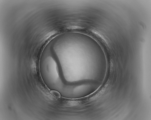 X0000111861305200907301123