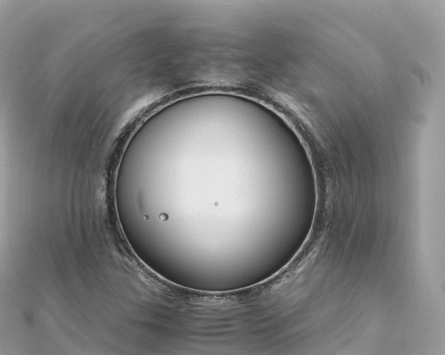 X0000111861307200907301123