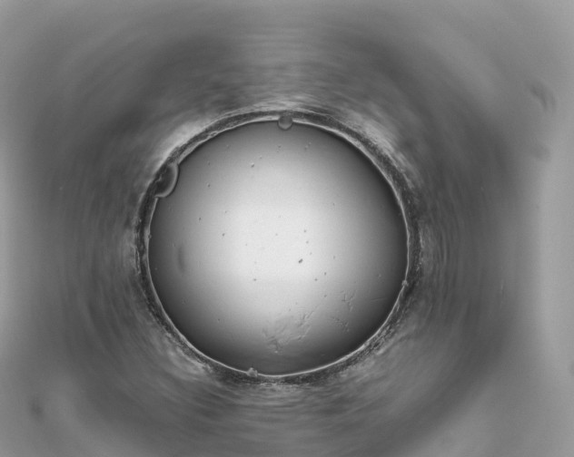 X0000111861308200907301123