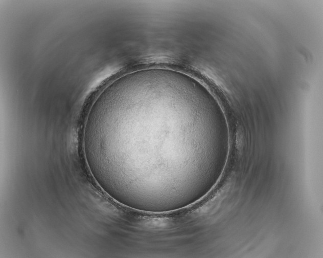 X0000111861309200907301123