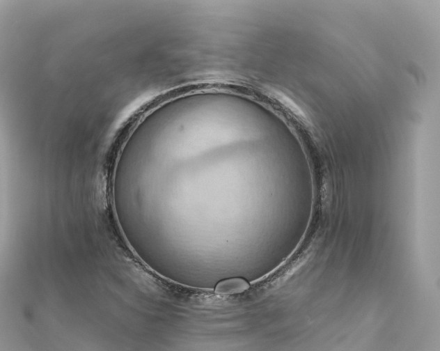 X0000111861310200907301123