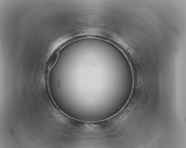 X0000111861312200907301123