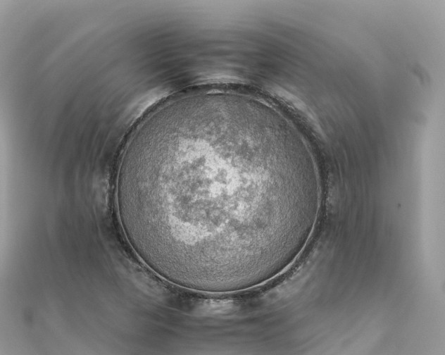 X0000111861313200907301123