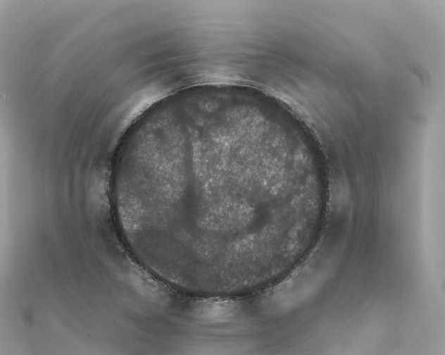 X0000111861314200907301123