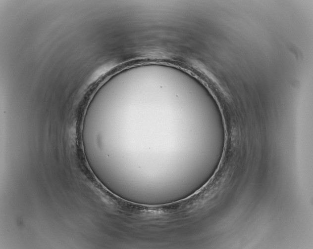 X0000111861315200907301123